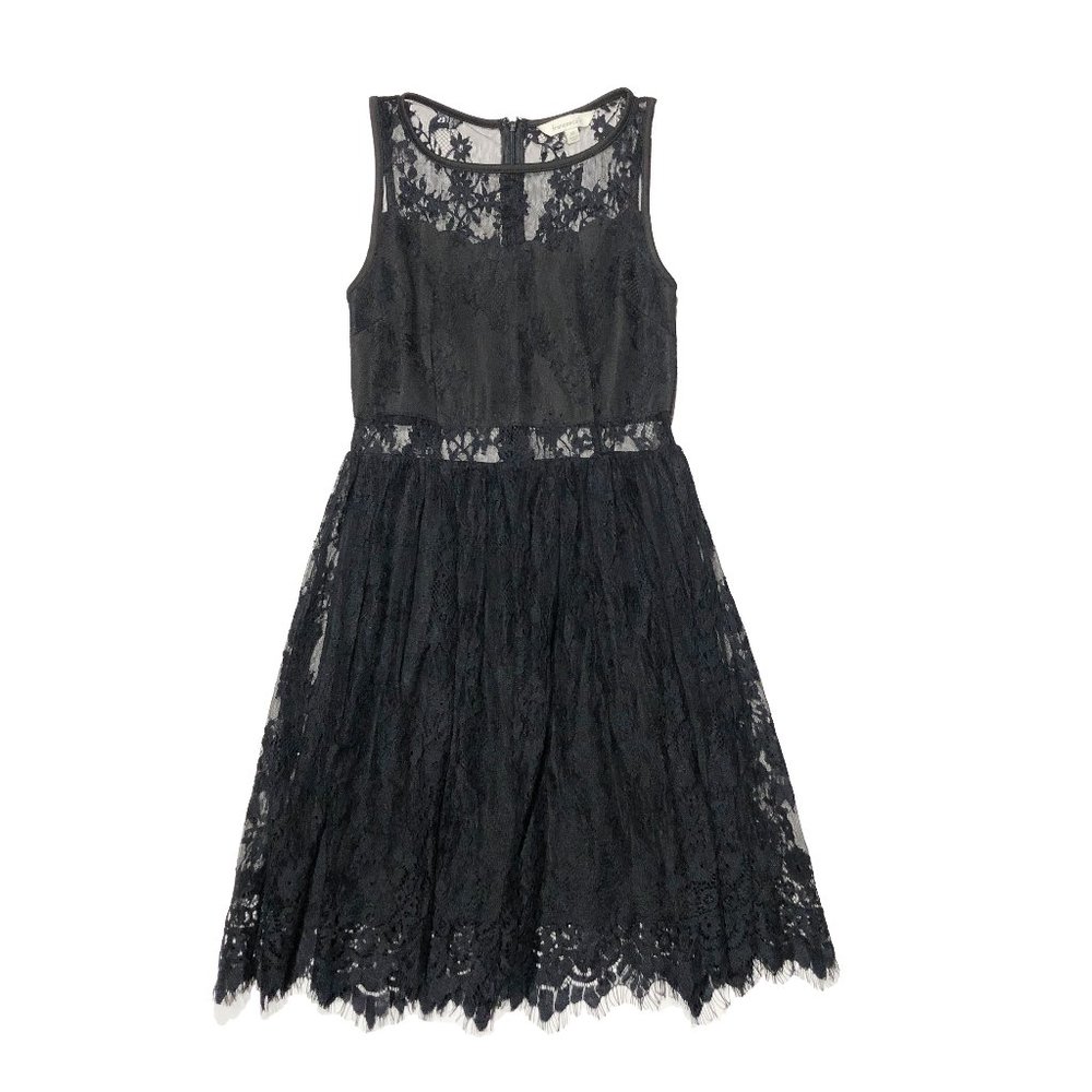 Francesca's Womens Size XS Black Sheer Lace Mesh Fit Flare Lined Dress